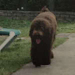 Meet your Posher, Jack